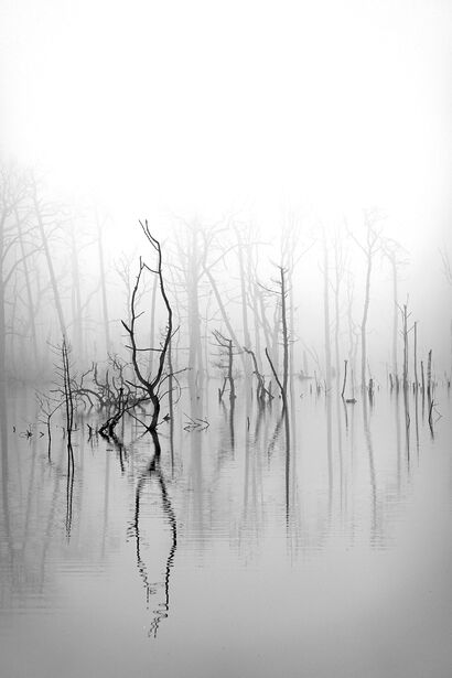  1. Magische Momente – Pfingstsee I, entstanden durch Bergwerkschäden,  Deutschland - a Photographic Art Artowrk by Angelika Schilling