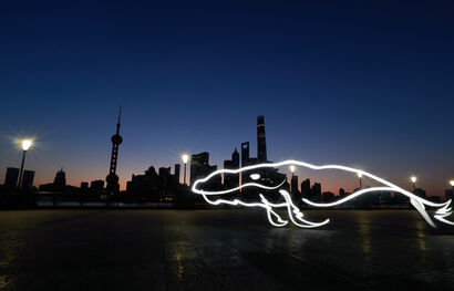 Light painting art of Chinese mythical montster —— Dragon - a Photographic Art Artowrk by Roywang