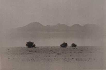 Genius Loci - a Photographic Art Artowrk by Annette Wijdeveld