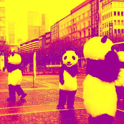 pandas - a Photographic Art Artowrk by Karl Pont