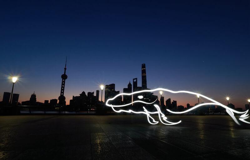 Light painting art of Chinese mythical montster —— Dragon - a Photographic Art by Roywang