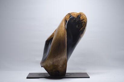 flow - a Sculpture & Installation Artowrk by wose