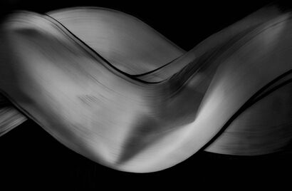 female curves? - a Photographic Art Artowrk by Barbara Goertz