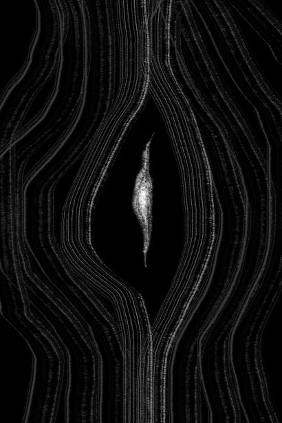 Threshold - a Digital Art Artwork by EllaMarc LAB