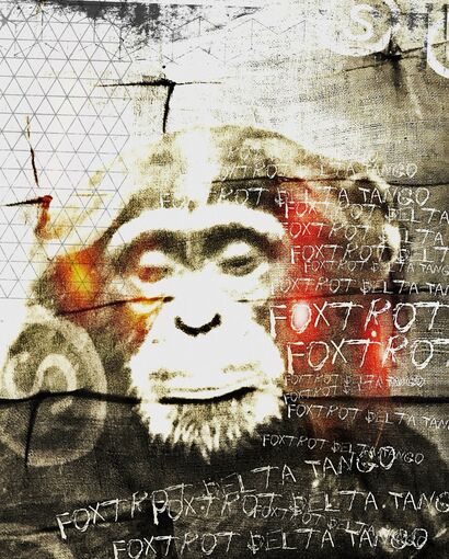 infinite monkey 07 - a Photographic Art Artowrk by JW Andrew