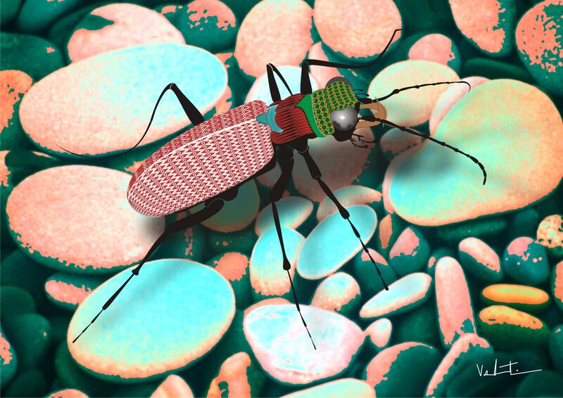 Beetle - a Digital Art by Alexandre Valentim
