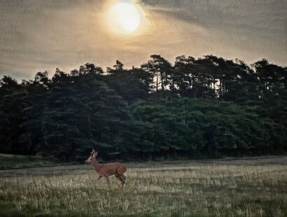 Watch Out - a Photographic Art Artowrk by egronista