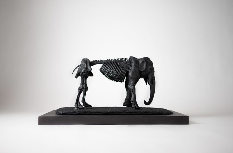 Elephant Osseous  - a Sculpture & Installation by verovillarreals