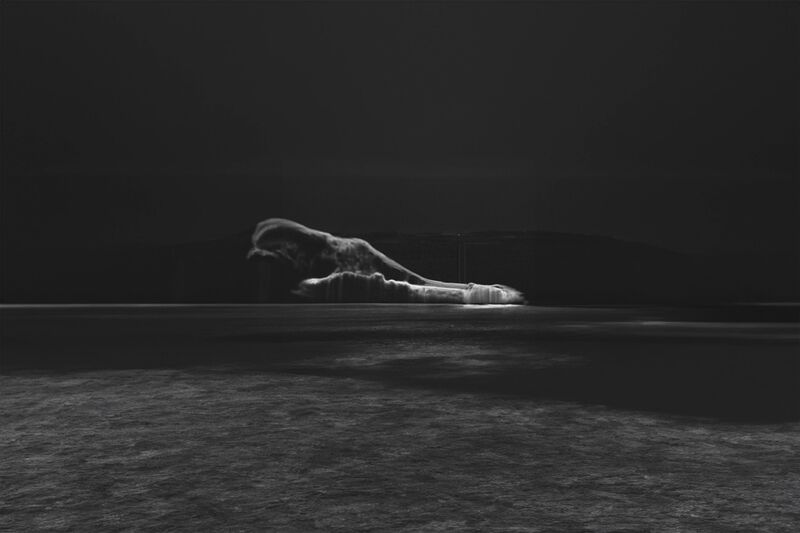 retinal imaging - a Photographic Art by Sean wang