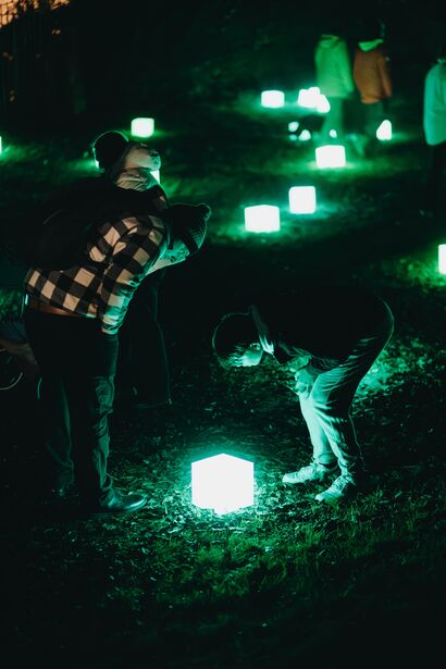 The Matter of The Heart - a Sculpture & Installation Artwork by Anna West