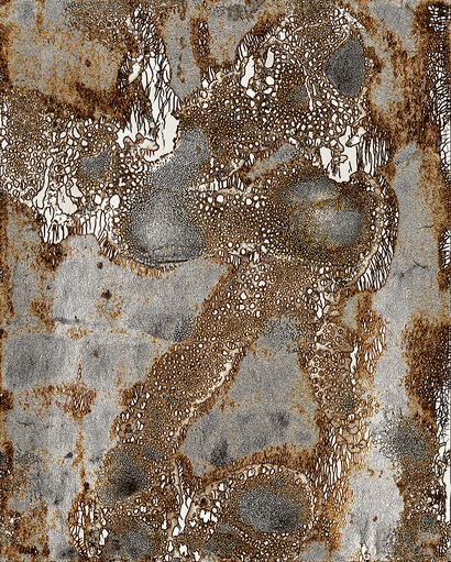 Distorted Perception - a Photographic Art Artowrk by Murae Van Reede Van Oudtshoorn