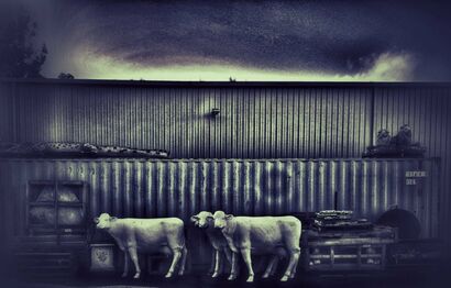 Cows of the Apocalypse - A Photographic Art Artwork by Mike Rutherford