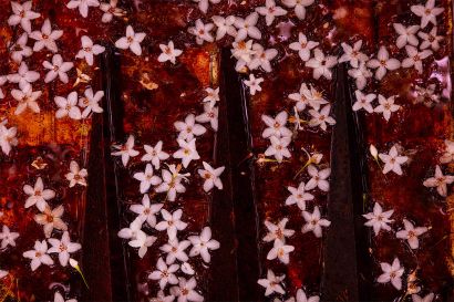 Songs  of  Iron - a Art Design Artwork by Tadashi Hirose