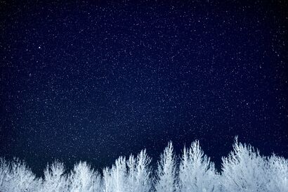 Stellar Silence of Aspen - a Photographic Art Artowrk by Daniel Montero