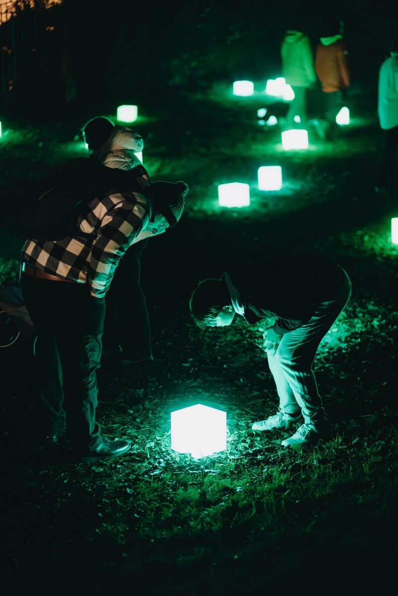 The Matter of The Heart - a Sculpture & Installation by Anna West
