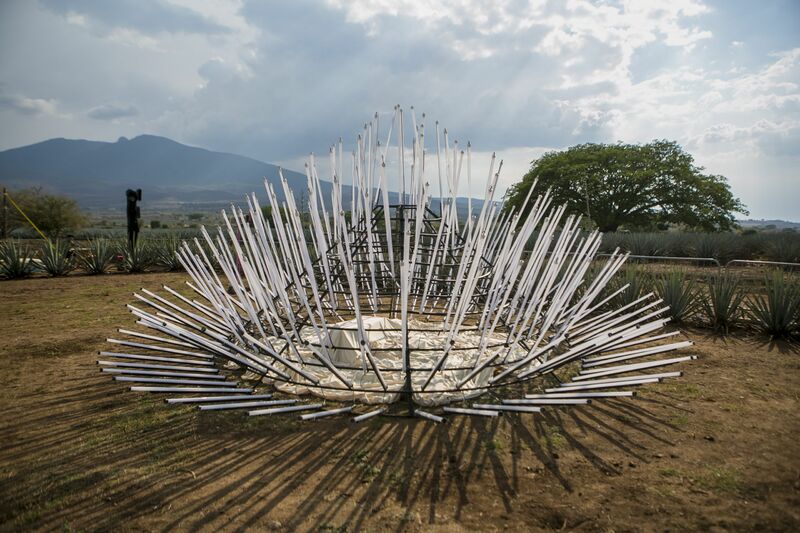 AGAVE - a Sculpture & Installation by Cecile JURINE