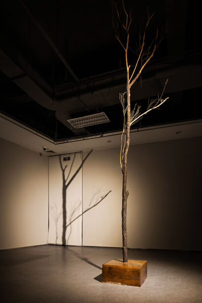 Tree Tablet - a Sculpture & Installation Artowrk by Yang Yunjie