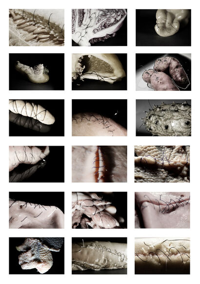Sutures series - a Photographic Art Artowrk by Patricia Borges