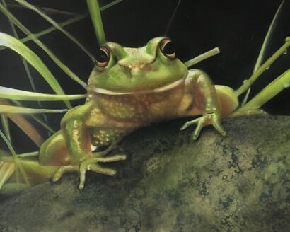 Frog on the stone - A Paint Artwork by Dolgor.Art 
