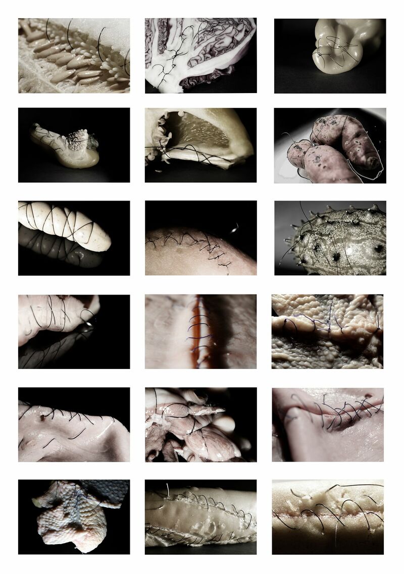 Sutures series - a Photographic Art by Patricia Borges