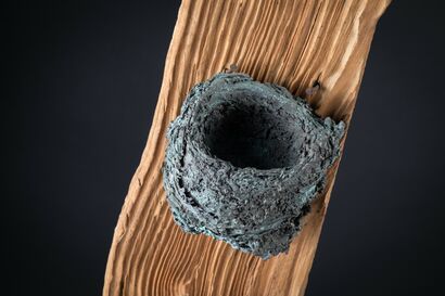 Nest - Nido - A Sculpture & Installation Artwork by valentina Lucarini Orejon