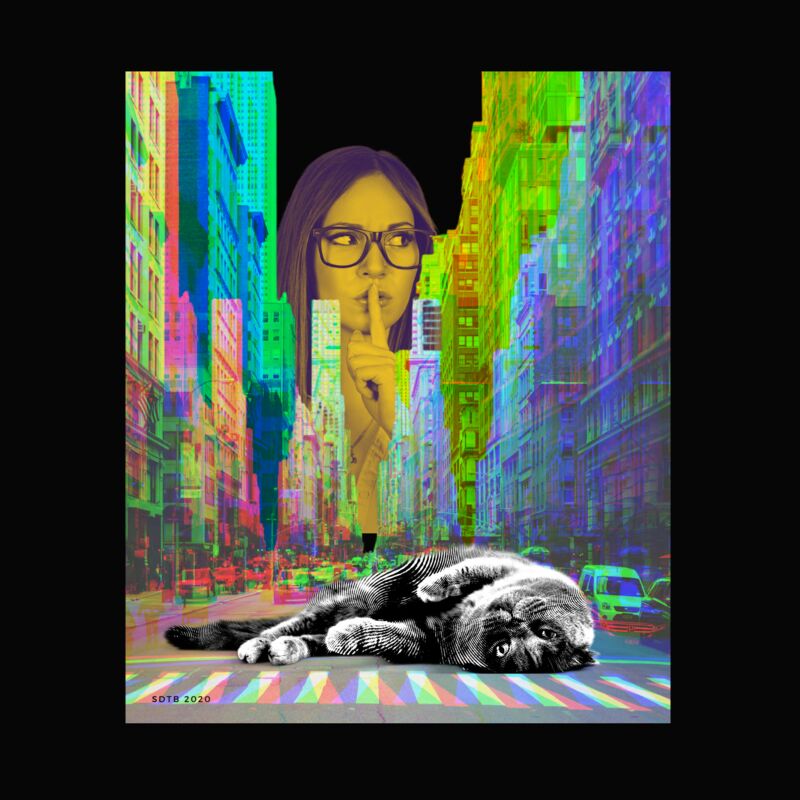 CAT IN THE CITY - a Digital Art by SDTB