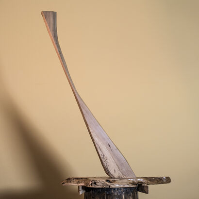 Flying Sailboat / Volo a Vela - a Sculpture & Installation Artowrk by carlo alberto mazza