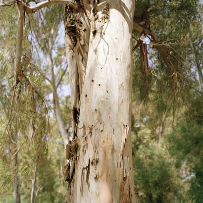 Eucalyptus Hands - a Photographic Art Artowrk by Ana Kapodistria