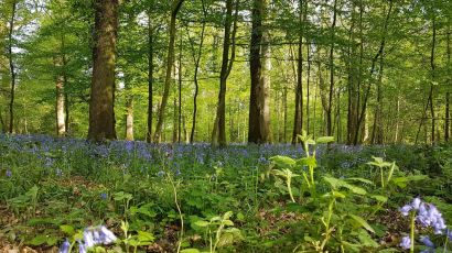 Nature is beauty by ivar Lousky