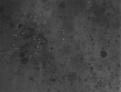 Surface, Etude 1 - a Photographic Art Artwork by Stanley Leroux