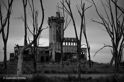 Matadero - a Photographic Art Artowrk by Gabriela Vitetta