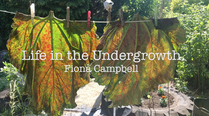 Life in the Undergrowth - a Video Art Artowrk by Fiona  Campbell
