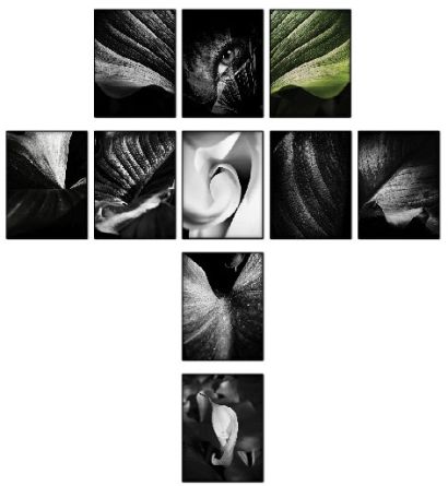 OXYGEN CRUX- Istallazione: 30x40 cm. - 150x160 cm. senza ingombro distanze - a Photographic Art Artwork by Sara Franci Visual Artist