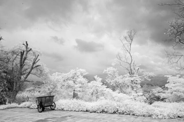 Dien Bien Phu #1 - a Photographic Art by Arsen Revazov