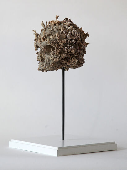Skullpture VIII  - a Sculpture & Installation Artowrk by Antonio Aprea