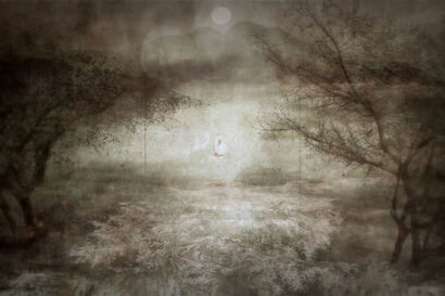 IZANAI「Girl with an Umbrella」 - a Photographic Art Artowrk by Toyonari Fukuta