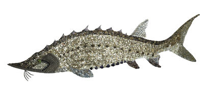 Roberta, the Riverkeeper\'s River Sweeper: STURGEON - a Sculpture & Installation Artowrk by William Durkin