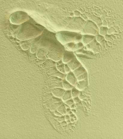 L'apparenza inganna - a Photographic Art Artwork by Roberto  Canepa 