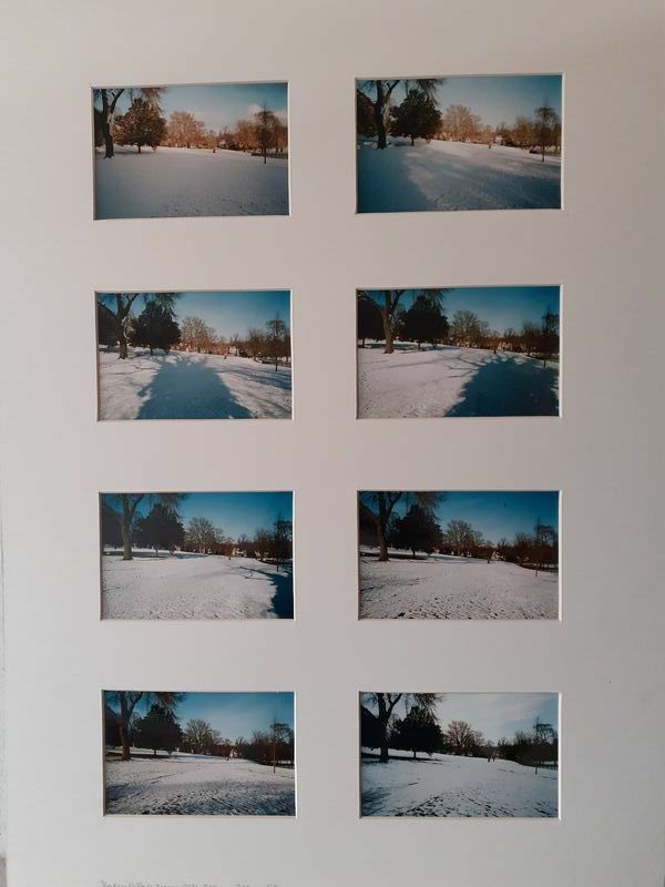 Handsworth Park, January 2021, 8.45 am - 3.45 pm - a Photographic Art by Gunhild Thomson