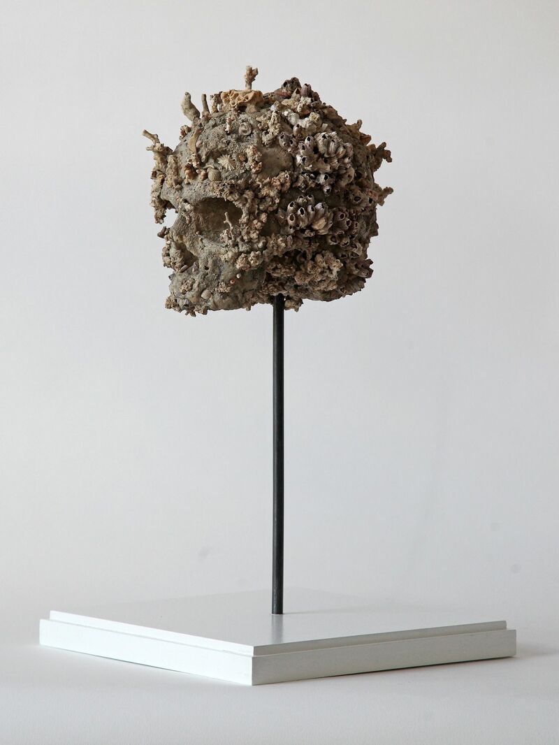 Skullpture VIII  - a Sculpture & Installation by Antonio Aprea