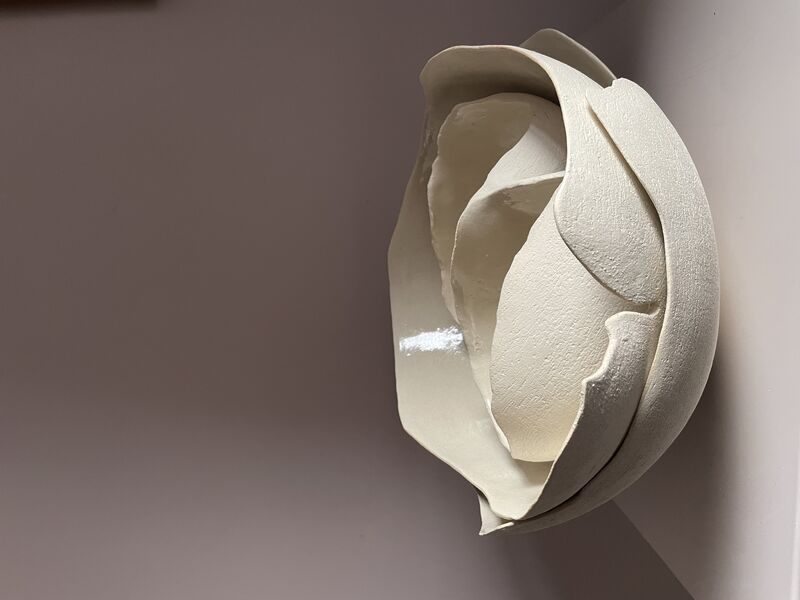 Cluster II - a Sculpture & Installation by Sarah Strachan