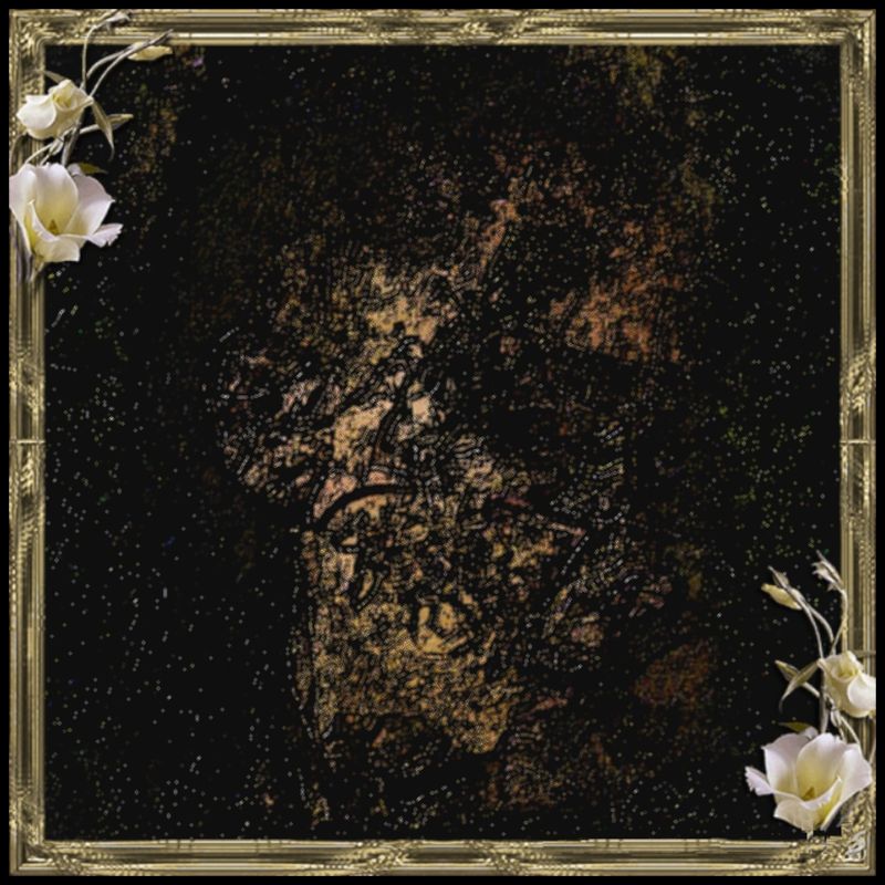 Shrouded  - a Digital Art by Charlotte A Cornish