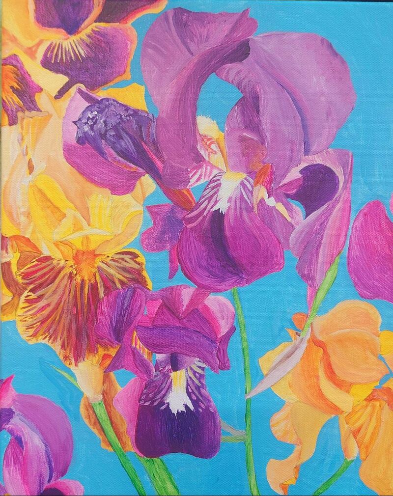 IRIS - a Paintings by EDDY
