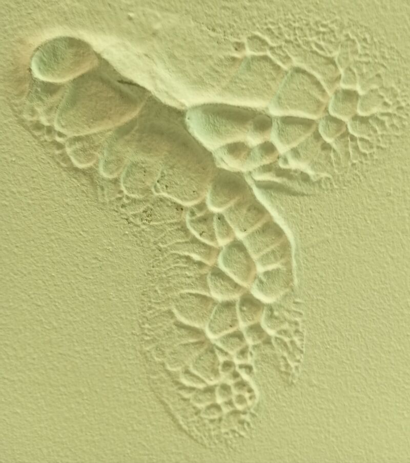 L'apparenza inganna - a Photographic Art by Roberto  Canepa 