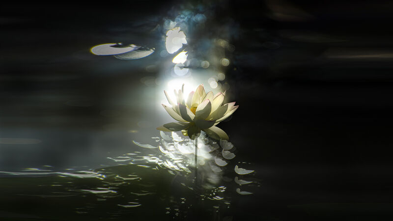 Lotus infinite - a Photographic Art by Akitoshi Matsuhara