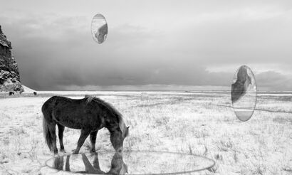 Cheval et Gouttes de Pluie (Cercle de la Vie), [Horse and Raindrops(Circle of Life)] - a Photographic Art Artowrk by Jisoo  Ahn