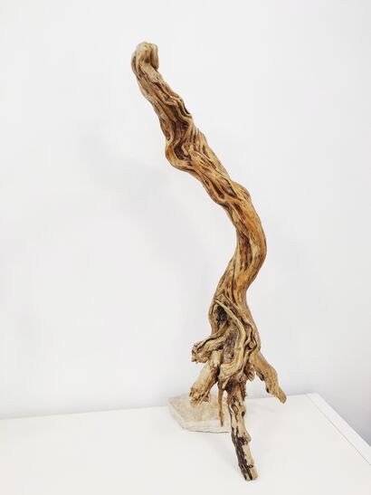 ESSENZA - a Sculpture & Installation Artowrk by leonardo casagrande