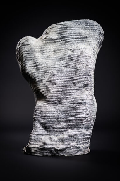 torso  - a Sculpture & Installation Artowrk by Marion Abate