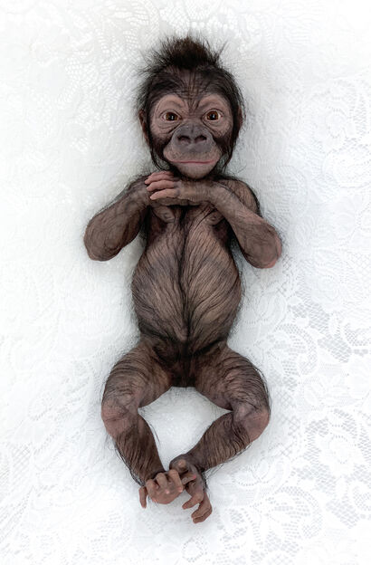 Baby Gorilla - A Sculpture & Installation Artwork by CRISTINA JOBS