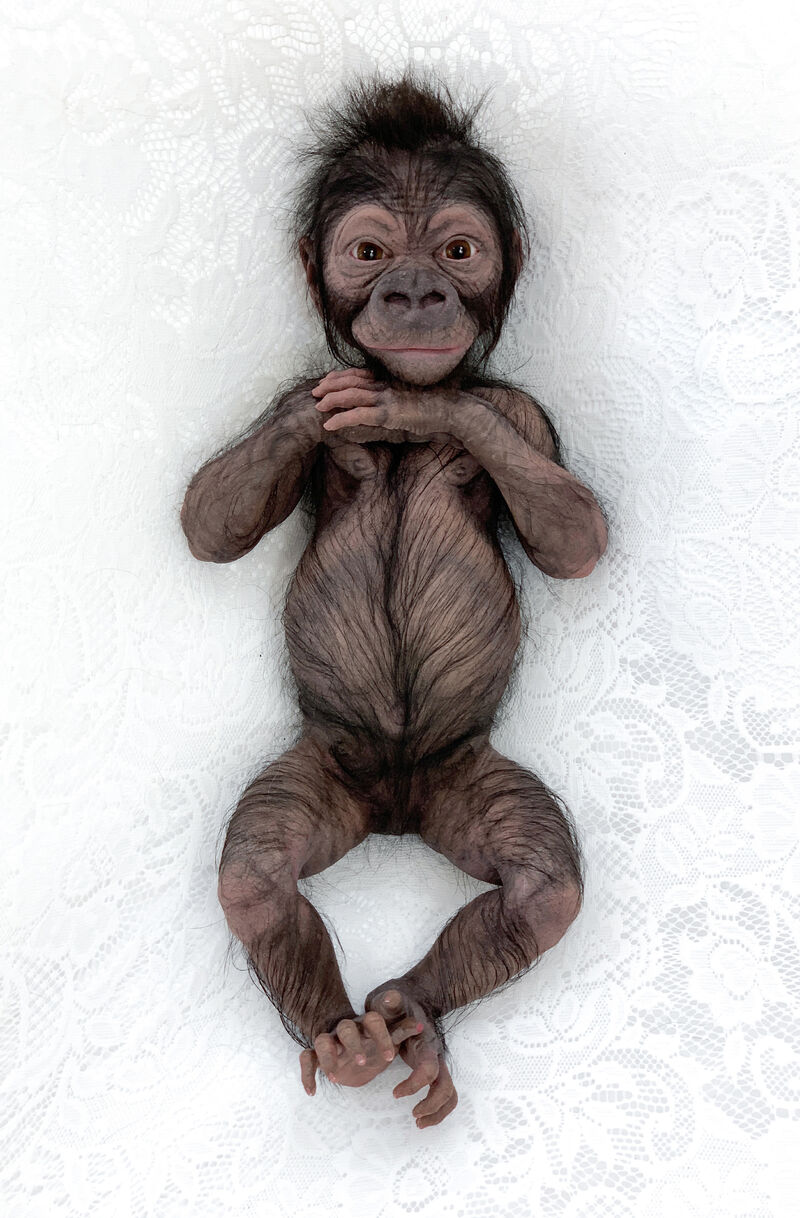 Baby Gorilla - a Sculpture & Installation by CRISTINA JOBS